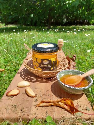 bagrem 500g Domaći prirodni Bagremov med 500g | 100% organski