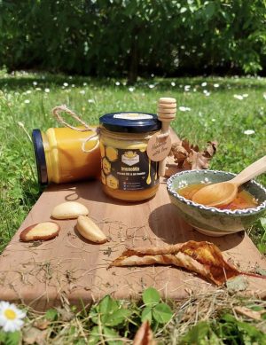 imuno med Tegla domaceg imuno meda 250g sa etiketom Med Bogdanovic, okružena polenom, propolisom i kašičicom meda.