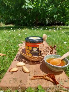 Domaći prirodni livadski med 500g | 100% organski