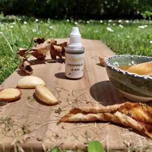 Bočica od 20ml prirodnih propolis kapi sa kapaljkom, označena brendom Med Bogdanović, fotografisana uz pčelinje saće i med.