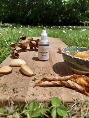 propolis Bočica od 20ml prirodnih propolis kapi sa kapaljkom, označena brendom Med Bogdanović, fotografisana uz pčelinje saće i med.